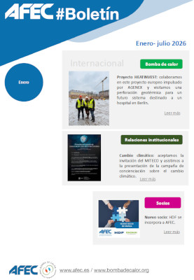 Boletín AFEC Enero Julio 2026